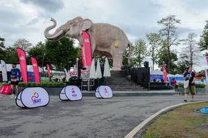 BIB: 
                            <button type="button" onclick="openModal(26528246)" class="btn btn-primary btn-sm float-right btn-popup" data-toggle="modal" data-target=".modal-high-quality">
                        <i class="fas fa-shopping-cart"></i> Add to Cart
                    </button>
                                            <button type="button" onclick="isThisMe(26528246, true)" class="btn btn-success btn-sm float-right btn-popup btn-isme hidden" data-toggle="tooltip" data-placement="bottom" title="นี่คือรูปของคุณใช่ไหม คลิกที่นี่เพื่อเอาเข้าอัลบั้ม">
                        <i class="fas fa-plus"></i> Add to album
                    </button>
                    <button type="button" onclick="isThisMe(26528246, false)" class="btn btn-warning btn-sm float-right btn-popup btn-isnotme hidden">
                        <i class="fas fa-ban"></i> Remove from album
                    </button>